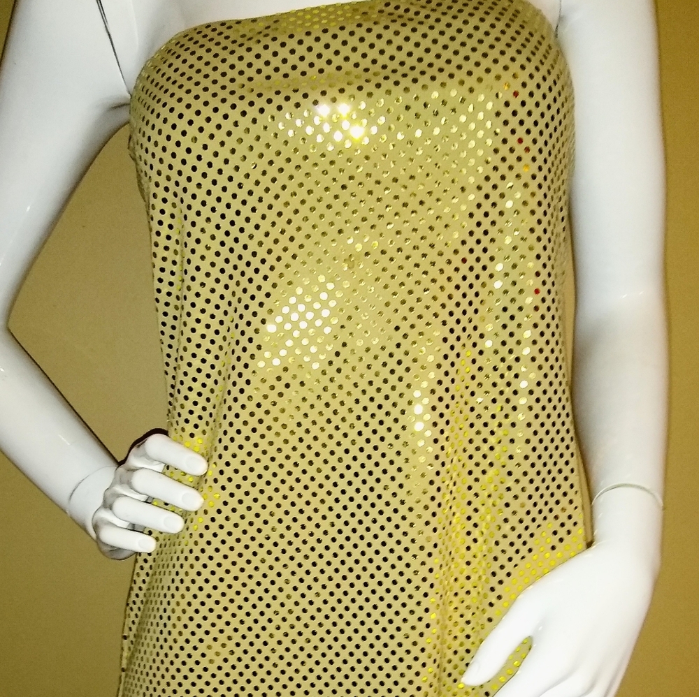 Disorderly Conduct Closet... Express Dress